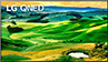 75QNED806QA